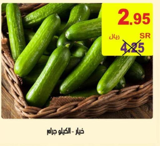  Cucumber  in أسواق بن ناجي in مملكة العربية السعودية, السعودية, سعودية - خميس مشيط
