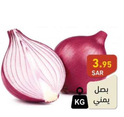  Onion  in Aswaq Ramez in KSA, Saudi Arabia, Saudi - Al Hasa