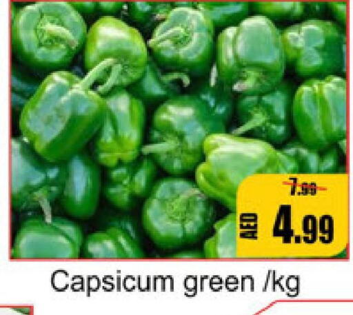  Chilli / Capsicum  in Leptis Hypermarket  in UAE - Umm al Quwain