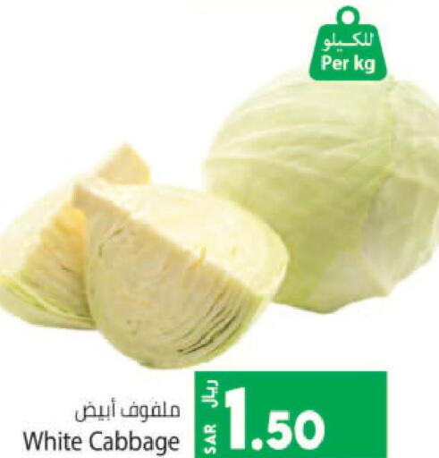  Cabbage  in Kabayan Hypermarket in KSA, Saudi Arabia, Saudi - Jeddah