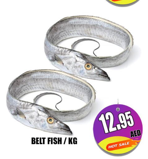  King Fish  in Majestic Plus Hypermarket in UAE - Abu Dhabi