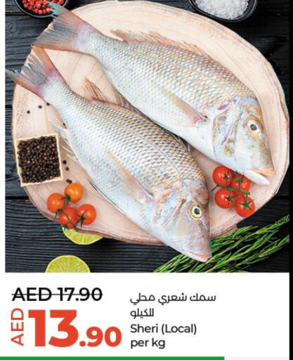  Tuna  in لولو هايبرماركت in الإمارات العربية المتحدة , الامارات - أبو ظبي