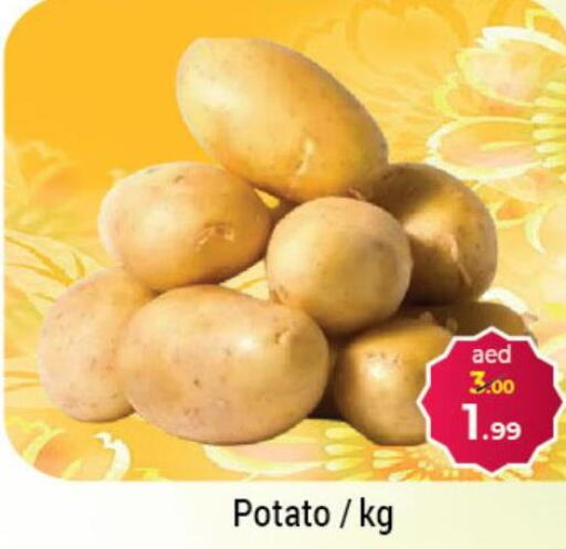  Potato  in سوق المبارك هايبرماركت in الإمارات العربية المتحدة , الامارات - الشارقة / عجمان