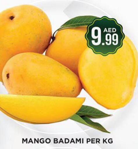 Mango   in Ainas Al madina hypermarket in UAE - Sharjah / Ajman