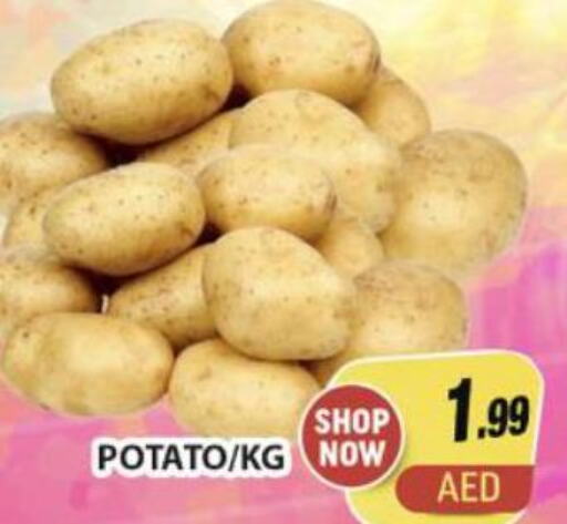  Potato  in Al Madina  in UAE - Dubai