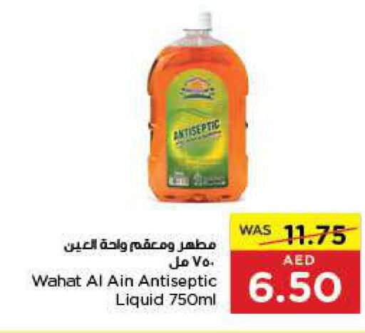  Disinfectant  in ايـــرث سوبرماركت in الإمارات العربية المتحدة , الامارات - أبو ظبي