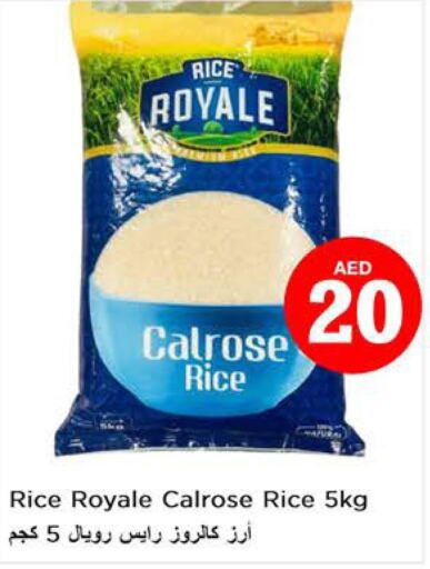  Egyptian / Calrose Rice  in نستو هايبرماركت in الإمارات العربية المتحدة , الامارات - دبي