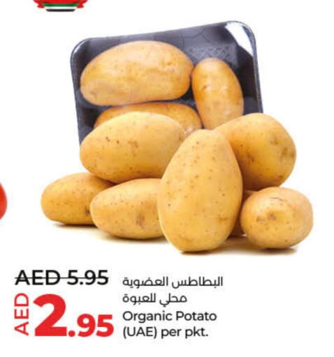  Potato  in لولو هايبرماركت in الإمارات العربية المتحدة , الامارات - ٱلْفُجَيْرَة‎
