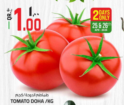  Tomato  in Kenz Mini Mart in Qatar - Umm Salal