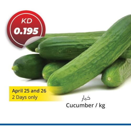  Cucumber  in 4 SaveMart in Kuwait - Kuwait City