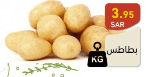  Potato  in Aswaq Ramez in KSA, Saudi Arabia, Saudi - Al Hasa