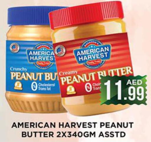 AMERICAN HARVEST Peanut Butter  in Ainas Al madina hypermarket in UAE - Sharjah / Ajman