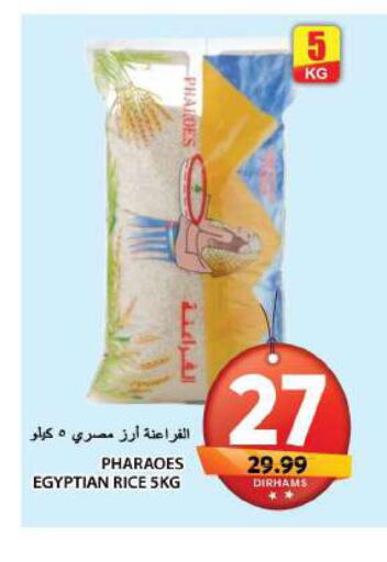  Egyptian / Calrose Rice  in جراند هايبر ماركت in الإمارات العربية المتحدة , الامارات - الشارقة / عجمان