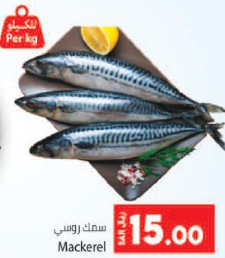  Tuna  in Kabayan Hypermarket in KSA, Saudi Arabia, Saudi - Jeddah