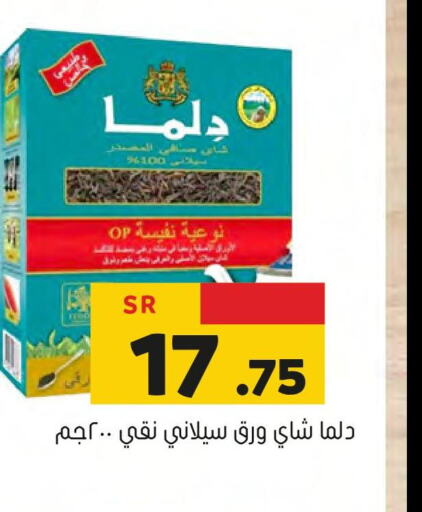 DURRA   in Al Amer Market in KSA, Saudi Arabia, Saudi - Al Hasa