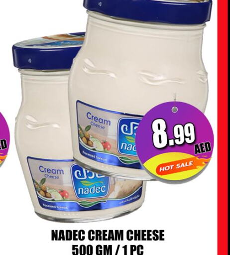 NADEC Cream Cheese  in هايبرماركت مجستك بلس in الإمارات العربية المتحدة , الامارات - أبو ظبي