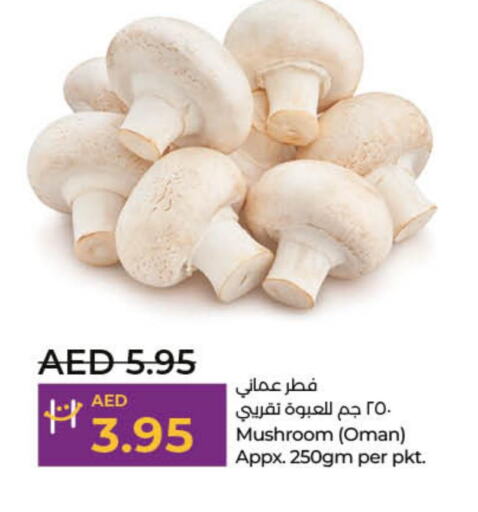  Mushroom  in لولو هايبرماركت in الإمارات العربية المتحدة , الامارات - الشارقة / عجمان