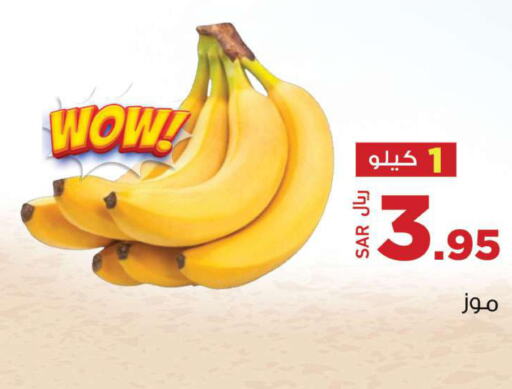  Banana  in Supermarket Stor in KSA, Saudi Arabia, Saudi - Riyadh