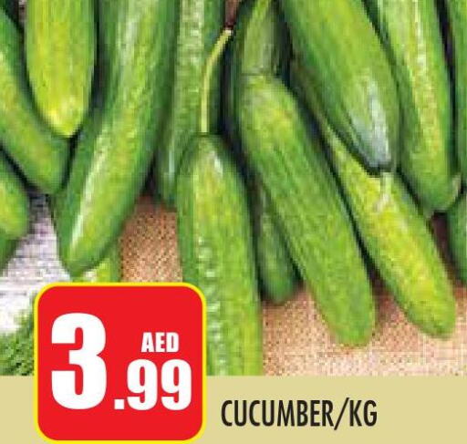  Cucumber  in سنابل بني ياس in الإمارات العربية المتحدة , الامارات - أبو ظبي