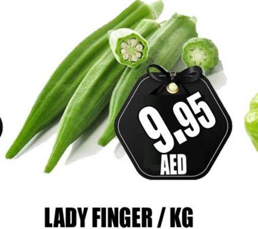  Lady's finger  in GRAND MAJESTIC HYPERMARKET in الإمارات العربية المتحدة , الامارات - أبو ظبي