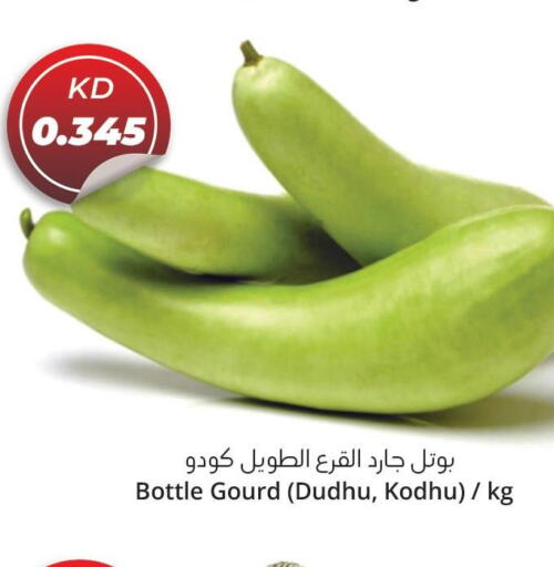  Gourd  in 4 SaveMart in Kuwait - Kuwait City