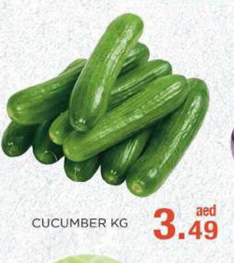  Cucumber  in C.M. supermarket in UAE - Abu Dhabi