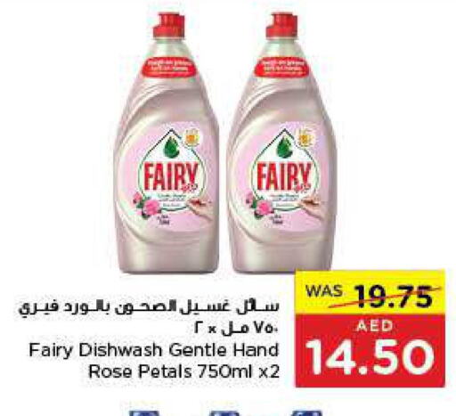 FAIRY   in Earth Supermarket in UAE - Abu Dhabi