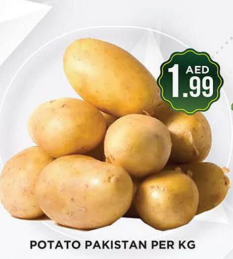  Potato  in Ainas Al madina hypermarket in UAE - Sharjah / Ajman