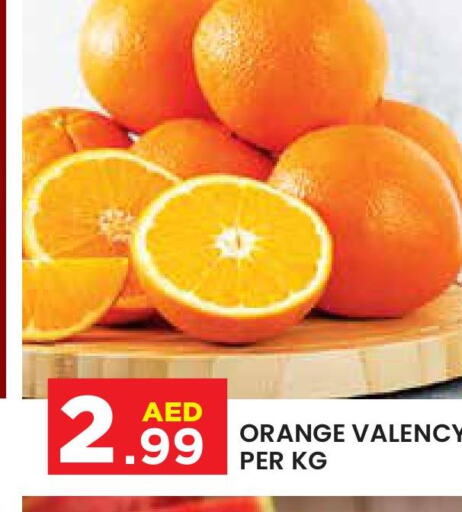  Orange  in سنابل بني ياس in الإمارات العربية المتحدة , الامارات - ٱلْعَيْن‎