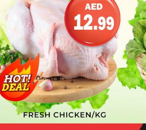  Fresh Chicken  in هايبر ماركت مينا المدينة in الإمارات العربية المتحدة , الامارات - الشارقة / عجمان