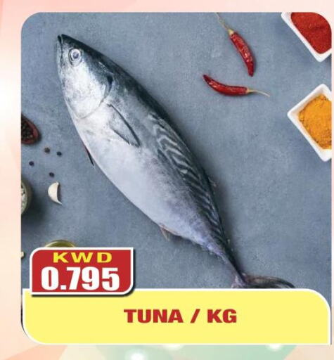  Tuna  in أوليف هايبر ماركت in الكويت - مدينة الكويت