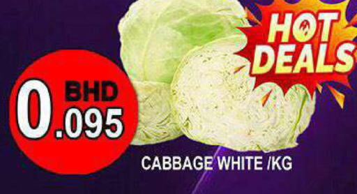  Cabbage  in Hassan Mahmood Group in Bahrain