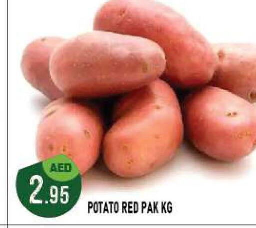  Potato  in Azhar Al Madina Hypermarket in UAE - Abu Dhabi