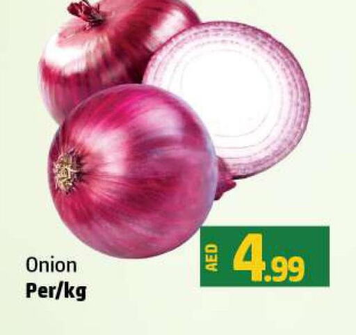  Onion  in Al Hooth in UAE - Ras al Khaimah