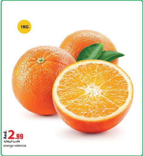  Orange  in Rawabi Market Ajman in UAE - Sharjah / Ajman