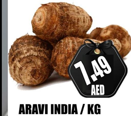  Onion  in GRAND MAJESTIC HYPERMARKET in UAE - Abu Dhabi