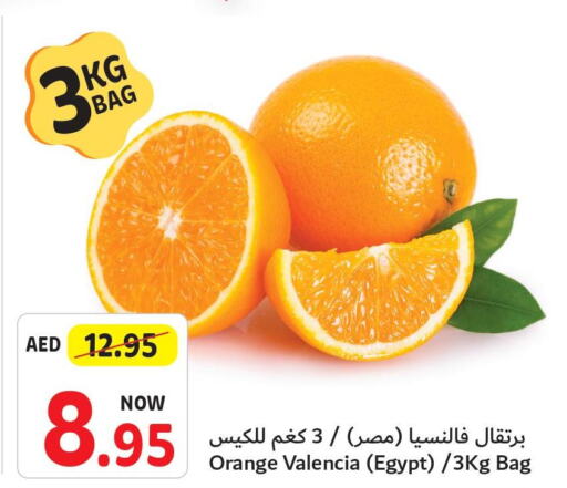  Orange  in Umm Al Quwain Coop in UAE - Umm al Quwain