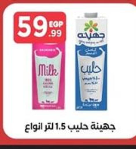 DOMTY Full Cream Milk  in MartVille in Egypt - Cairo