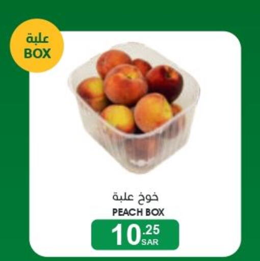  Peach  in Mazaya in KSA, Saudi Arabia, Saudi - Qatif
