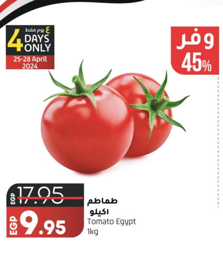  Tomato  in Lulu Hypermarket  in Egypt