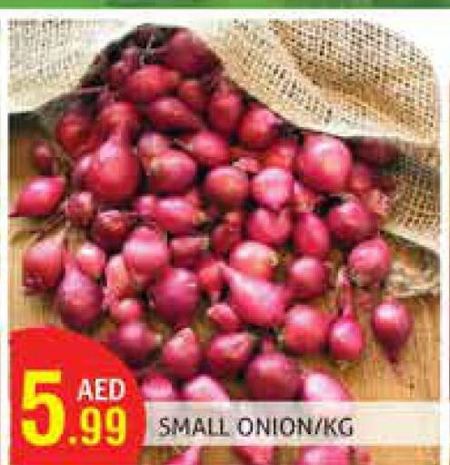  Onion  in Palm Hypermarket Muhaisina LLC in UAE - Dubai