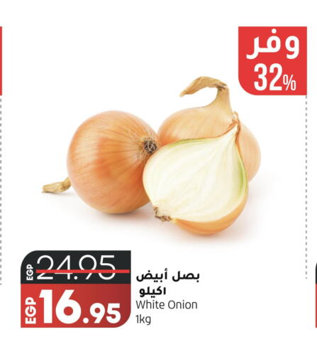  White Onion  in لولو هايبرماركت in Egypt - القاهرة