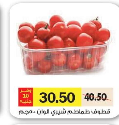  Tomato  in رويال هاوس in Egypt - القاهرة