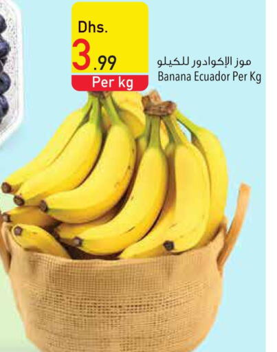  Banana  in السفير هايبر ماركت in الإمارات العربية المتحدة , الامارات - أم القيوين‎