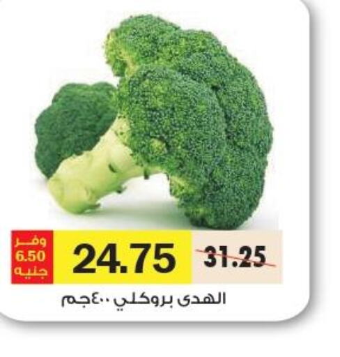  Broccoli  in Royal House in Egypt - Cairo