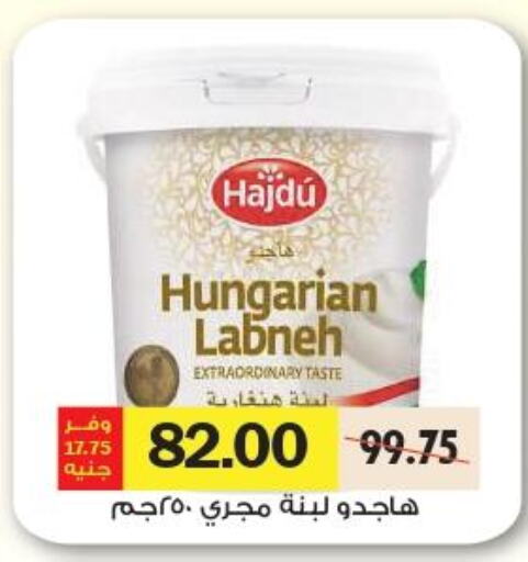  Labneh  in Royal House in Egypt - Cairo