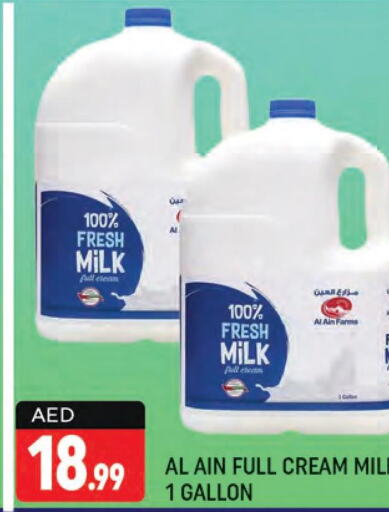 AL AIN Fresh Milk  in شكلان ماركت in الإمارات العربية المتحدة , الامارات - دبي