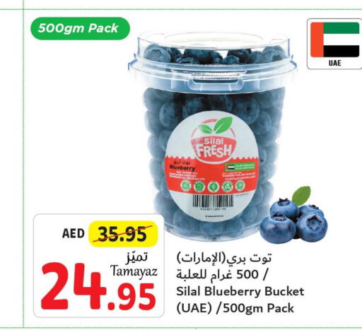  Berries  in Union Coop in UAE - Abu Dhabi