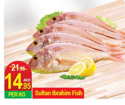  Tuna  in Rich Supermarket in UAE - Dubai