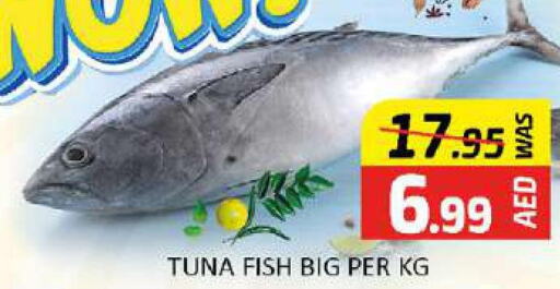  Tuna  in Al Madina  in UAE - Dubai